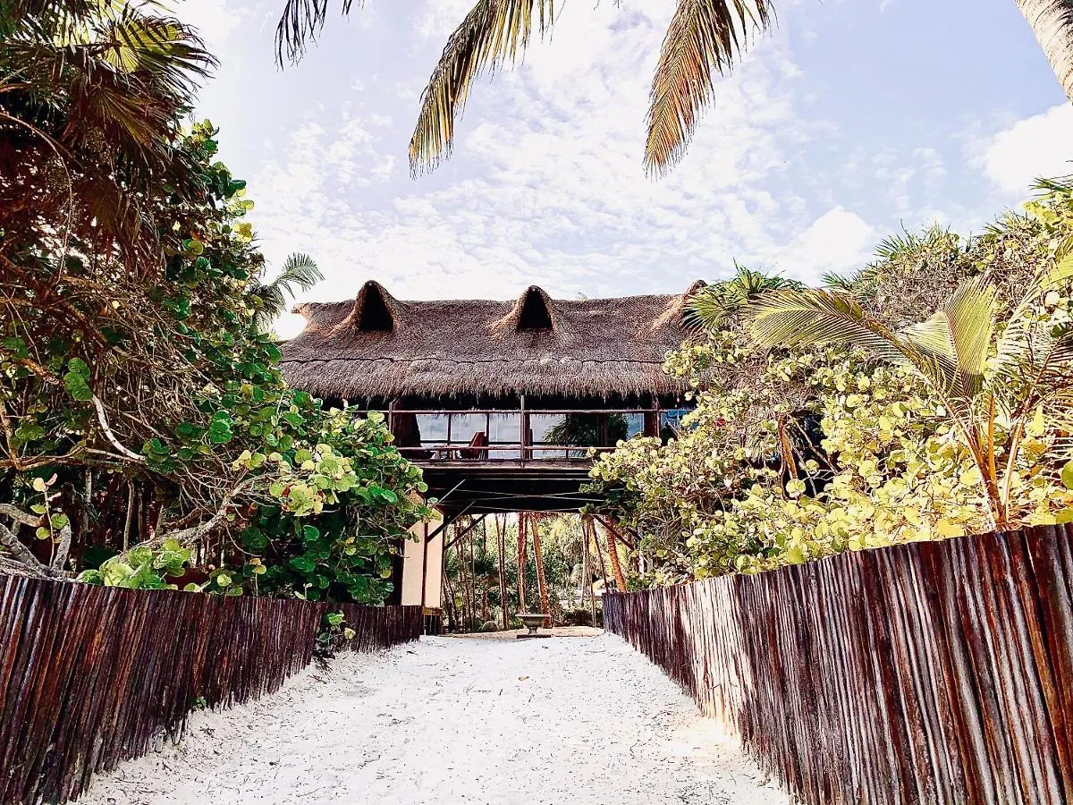 Libelula Tulum Beachfront Hotel Mexico