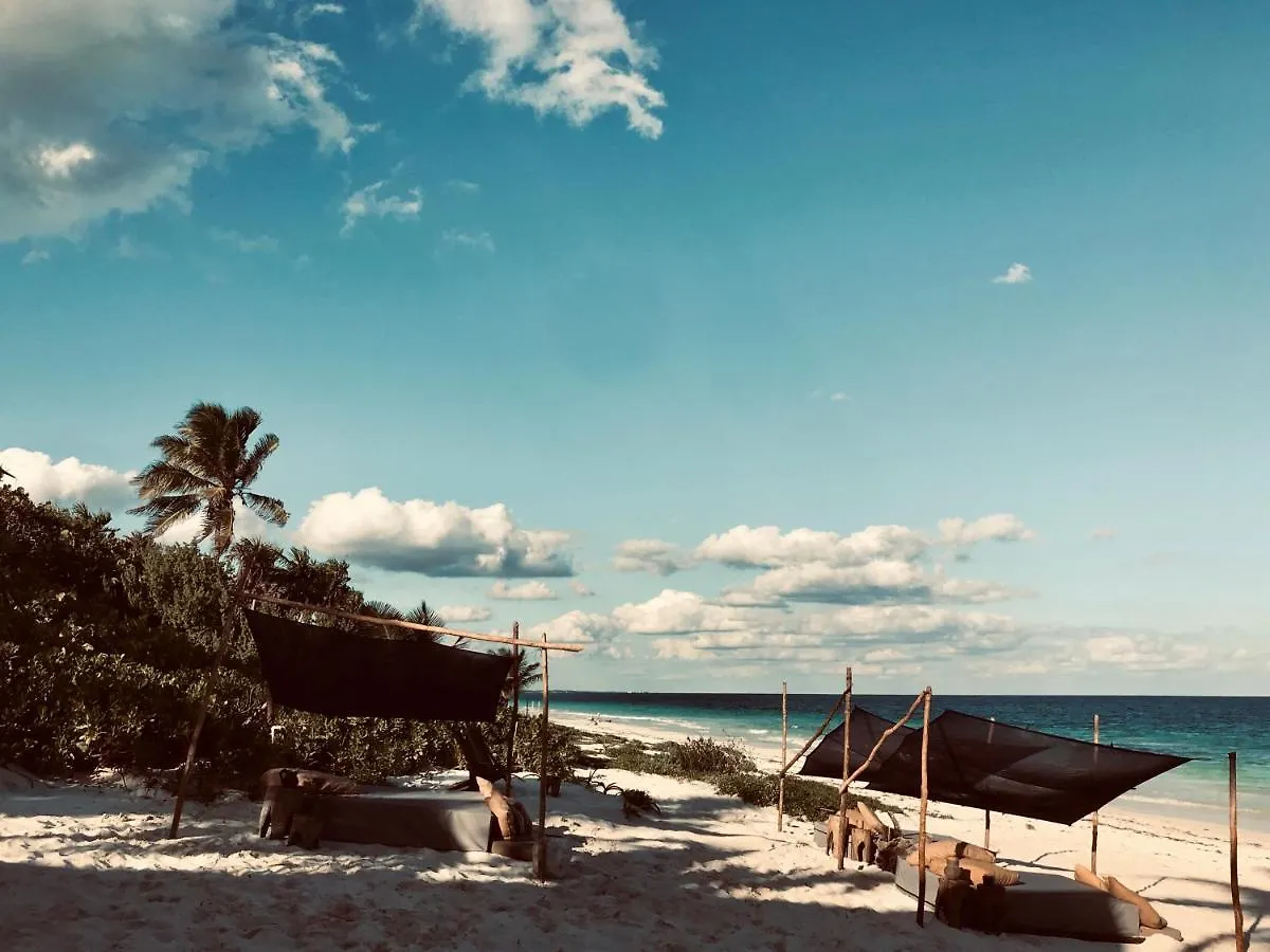 Libelula Tulum Beachfront Hotel