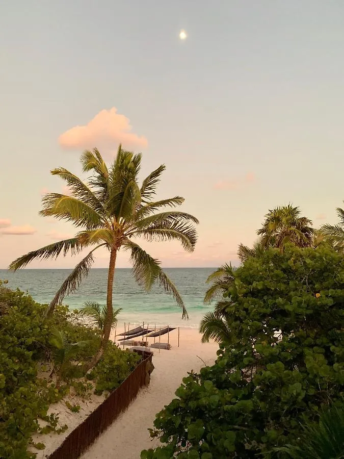 Libelula Tulum Beachfront Hotel location