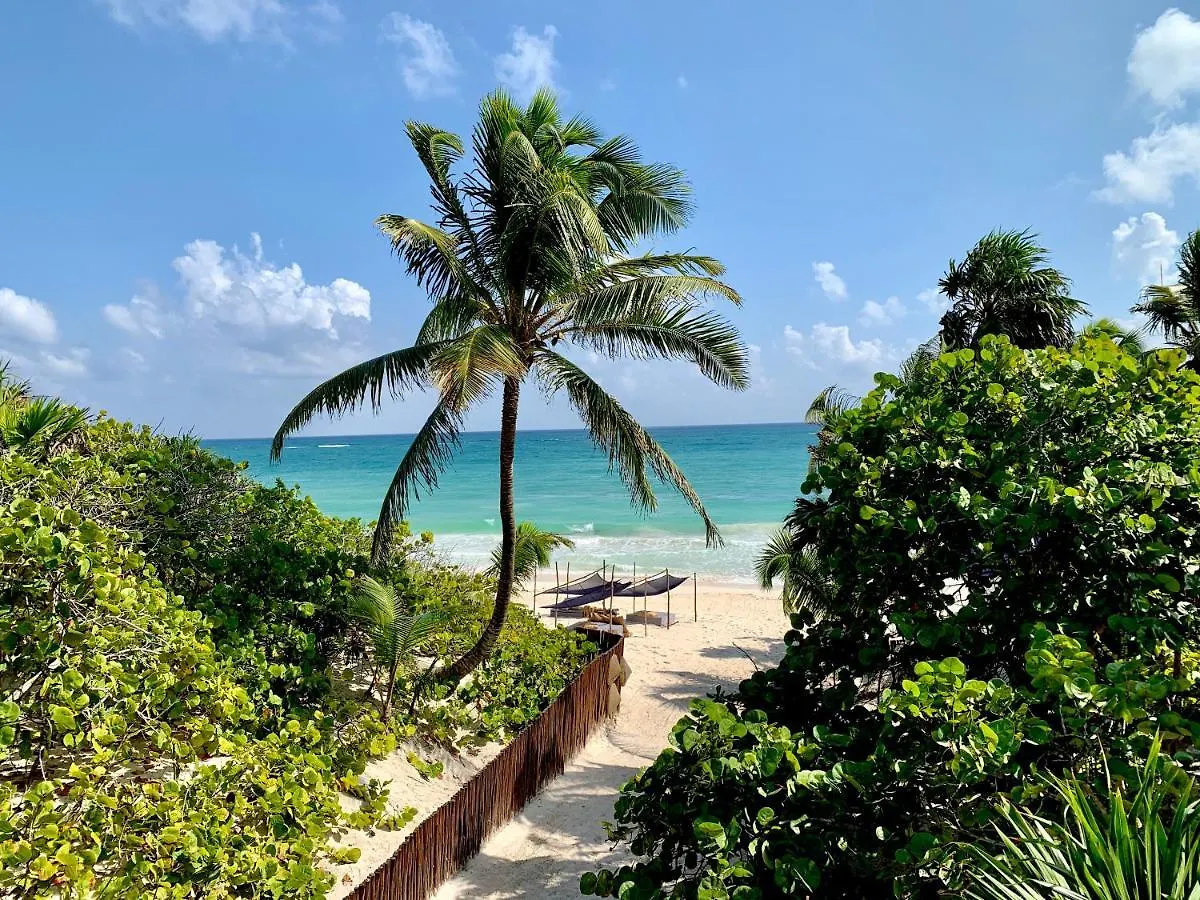 Libelula Tulum Beachfront Hotel